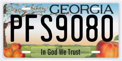 GA license plate PFS9080