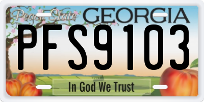 GA license plate PFS9103