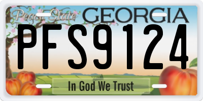 GA license plate PFS9124