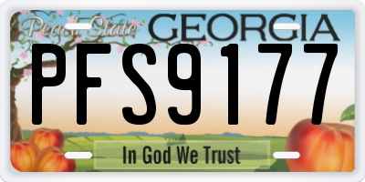 GA license plate PFS9177