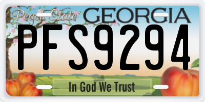 GA license plate PFS9294