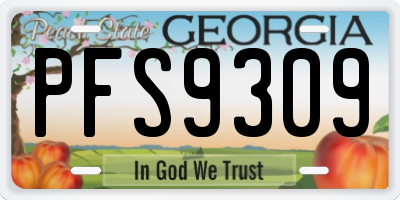 GA license plate PFS9309