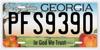 GA license plate PFS9390