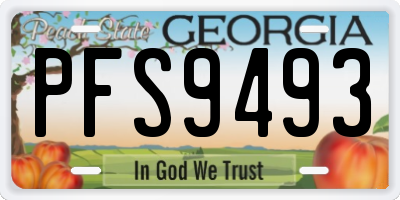 GA license plate PFS9493