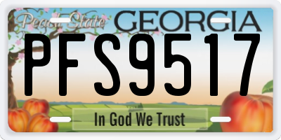 GA license plate PFS9517