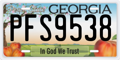 GA license plate PFS9538