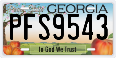 GA license plate PFS9543