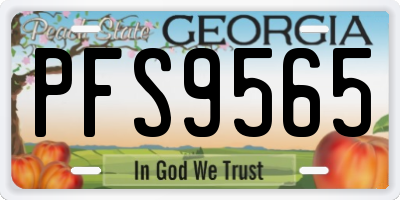 GA license plate PFS9565