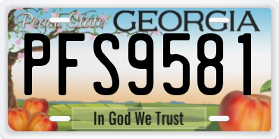 GA license plate PFS9581