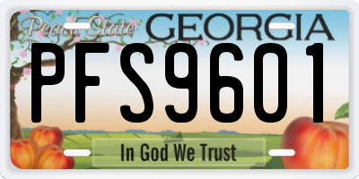 GA license plate PFS9601