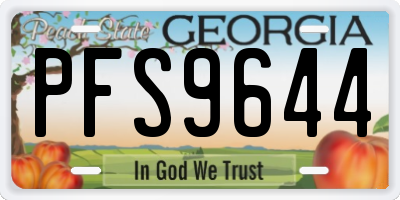 GA license plate PFS9644