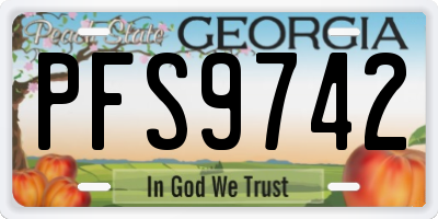 GA license plate PFS9742