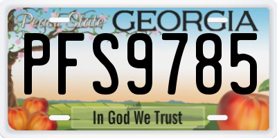 GA license plate PFS9785