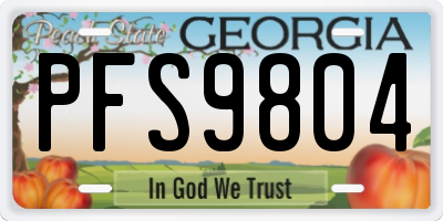 GA license plate PFS9804