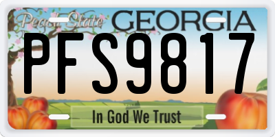 GA license plate PFS9817
