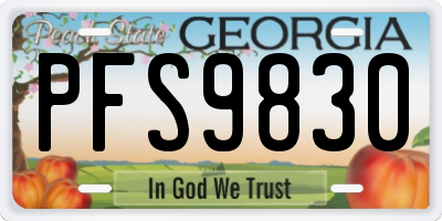 GA license plate PFS9830