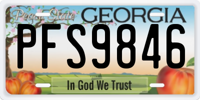 GA license plate PFS9846