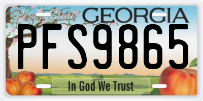 GA license plate PFS9865