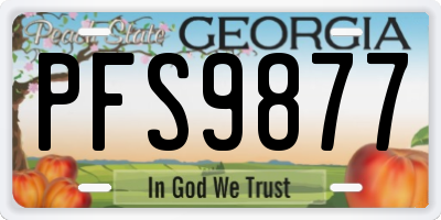 GA license plate PFS9877