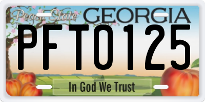 GA license plate PFT0125