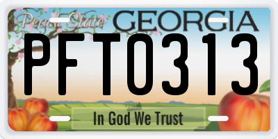 GA license plate PFT0313