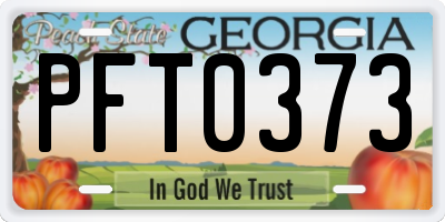 GA license plate PFT0373