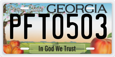 GA license plate PFT0503