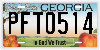 GA license plate PFT0514