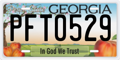 GA license plate PFT0529