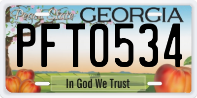 GA license plate PFT0534