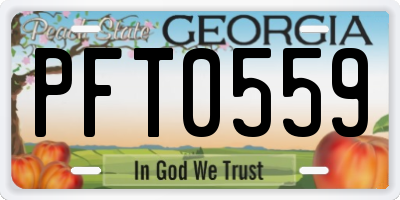GA license plate PFT0559