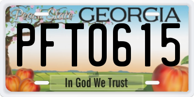 GA license plate PFT0615