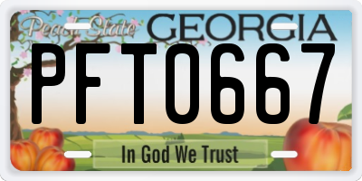 GA license plate PFT0667