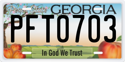 GA license plate PFT0703