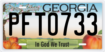 GA license plate PFT0733