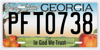 GA license plate PFT0738