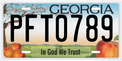 GA license plate PFT0789