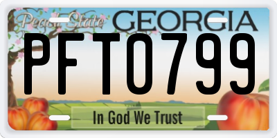 GA license plate PFT0799