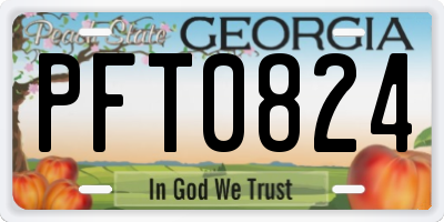 GA license plate PFT0824