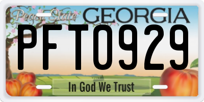 GA license plate PFT0929