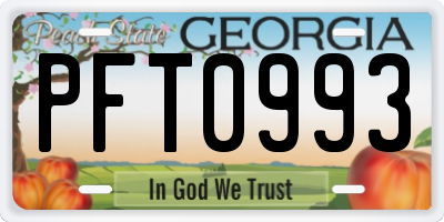 GA license plate PFT0993