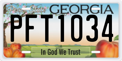 GA license plate PFT1034