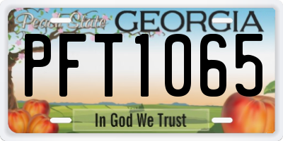 GA license plate PFT1065