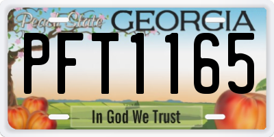 GA license plate PFT1165