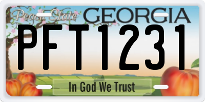 GA license plate PFT1231