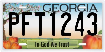 GA license plate PFT1243