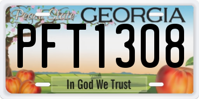 GA license plate PFT1308
