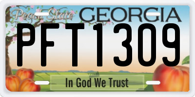 GA license plate PFT1309