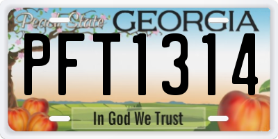 GA license plate PFT1314
