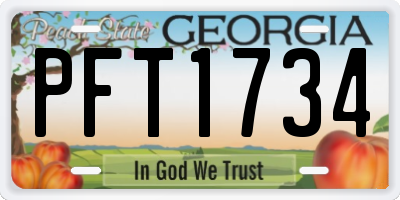 GA license plate PFT1734